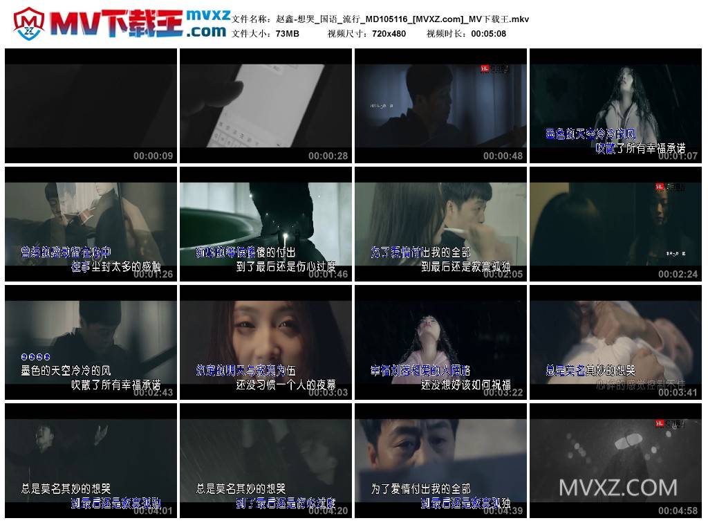 赵鑫-想哭_国语_流行_MD105116